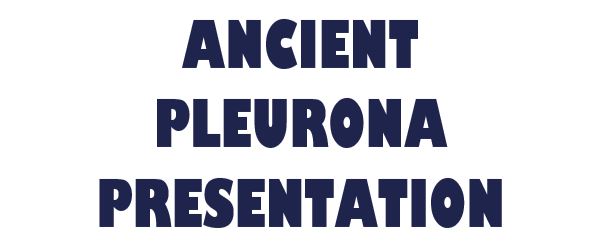 ancient-pleurona.png